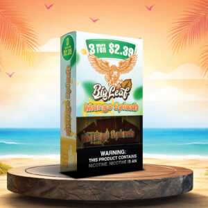 Mango Splash